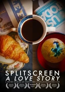 Постер: История любви на разделенном экране / Splitscreen: A Love Story (2011)