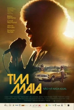 Постер: Тим Майа / Tim Maia (2014)