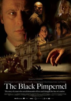 Постер: Черная гвоздика / The Black Pimpernel (2007)