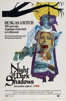 Постер: Ночь тёмных теней / Night of Dark Shadows (1971)