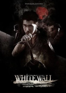 Постер: Белая стена / White Wall (2010)