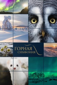 Постер: Горная симфония / Tunturin tarina (2021)