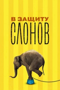 Постер: В защиту слонов / An Apology to Elephants (2013)