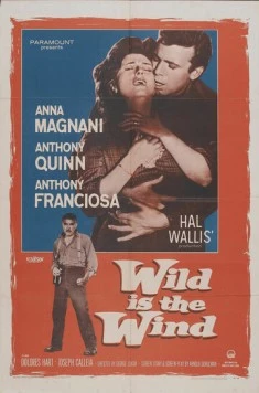 Постер: Дикий ветер / Wild Is the Wind (1957)