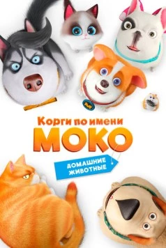 Постер: Корги по имени Моко. Домашние животные / Flying MOCO - Pet House (2019)