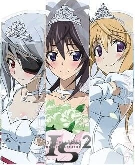 Постер: Бесконечные небеса 2: Бесконечные свадьбы / IS: Infinite Stratos 2 - Infinite Wedding (2016)