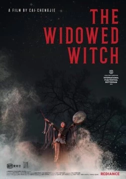 Постер: Овдовевшая ведьма / Bei fang yi pian cang mang (2017)