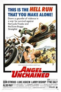 Постер: Освобожденный ангел / Angel Unchained (1970)