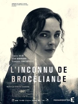 Постер: Незнакомец из Броселианда / L'Inconnu de Brocéliande (2016)