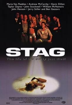 Постер: Убийственный вечер / Stag (1997)