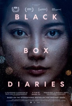 Постер: Дневники чёрного ящика / Black Box Diaries (2024)