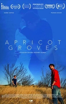 Постер: Абрикосовые рощи / Apricot Groves (2016)