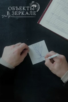 Постер: Объекты в зеркале (2022)