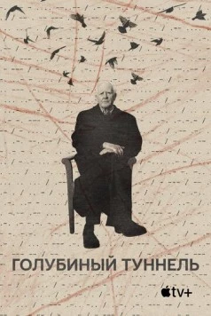 Постер: Голубиный туннель / The Pigeon Tunnel (2023)