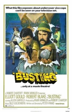 Постер: Ещё один арест / Busting (1974)