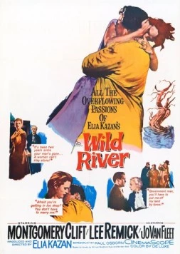 Постер: Дикая река / Wild River (1960)