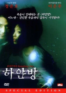 Постер: Нерождённый и всеми забытый / Hayanbang (2002)