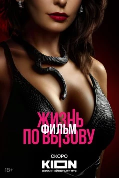 Постер: Жизнь по вызову. Фильм