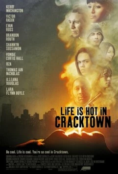 Постер: Веселая жизнь в Крэктауне / Life Is Hot in Cracktown (2008)