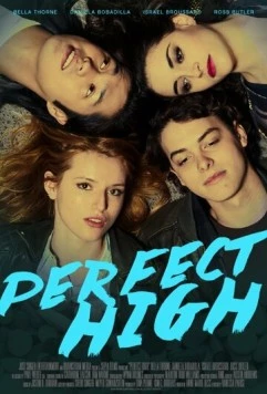Постер: Идеальный кайф / Perfect High (2015)
