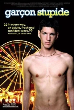 Постер: Глупый парень / Garçon stupide (2004)