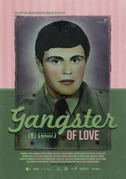 Постер: Гангстер любви / Gangster of Love (2013)
