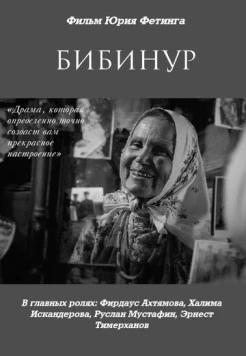 Постер: Бибинур (2009)