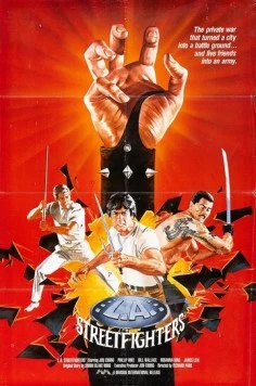 Постер: Территория ниндзя / Los Angeles Streetfighter (1985)