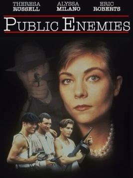 Постер: Враг общества № 1 / Public Enemies (1996)
