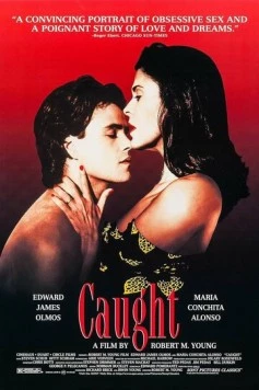 Постер: Ложь / Caught (1996)
