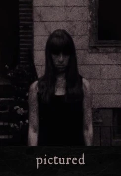 Постер: Изображенная / Pictured (2014)