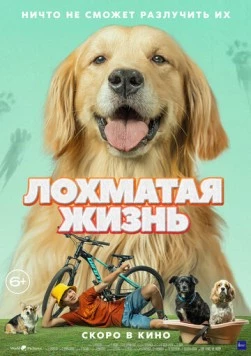 Постер: Лохматая жизнь (2023)