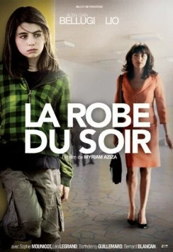 Постер: Вечернее платье / La robe du soir (2009)