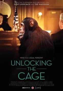 Постер: Открывая клетку / Unlocking the Cage (2016)