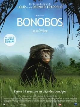 Постер: Бонобо / Bonobos (2011)