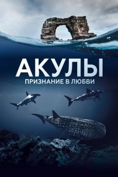 Постер: Акулы. Признание в любви / Au plus près des requins (2022)