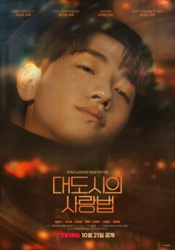 Постер: Любовь в большом городе / Daedosiui sarangbeom (2024)