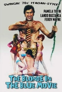 Постер: Викинг, пришедший с юга (1971)