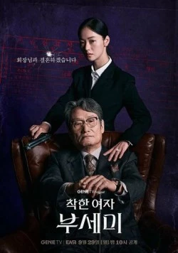 Постер: Госпожа Инкогнито / Jakhan yeoja Bu Semi (2025)