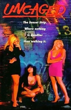 Постер: Ангел в красном / Uncaged (1991)