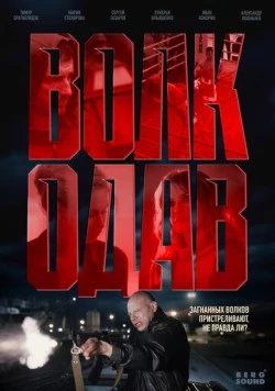 Постер: Волкодав (2025)