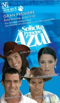 Постер: В поисках идеального мужчины / Se solicita príncipe azul (2005)