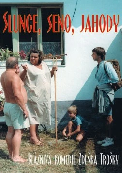 Постер: Экспериментатор / Slunce, seno, jahody (1984)