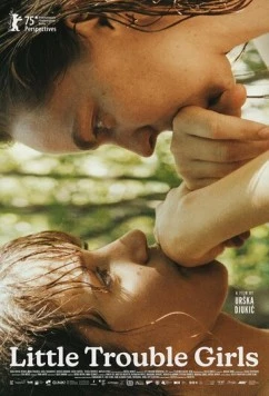 Постер: Привет, подруга / Kaj ti je deklica (2025)