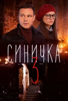 Постер: Синичка 3 (2020)