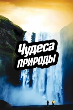 Постер: Чудеса природы / Miracles of Nature (2012)