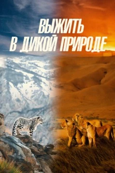 Постер: Выжить в дикой природе / Survive the Wild (2016)