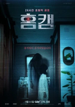 Постер: Домашняя камера / Homkaem (2025)