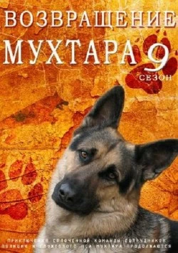 Постер: Возвращение Мухтара 9 (2013)