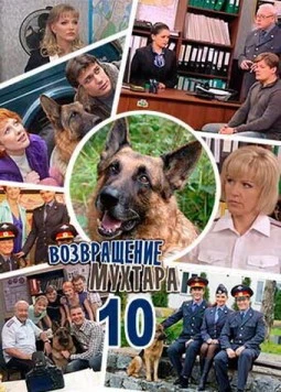 Постер: Возвращение Мухтара 10 (2015)